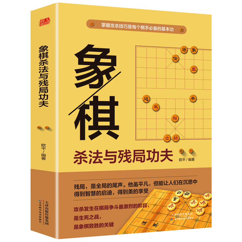 象棋杀法与残局功夫 中国际象棋书籍教材职业选手中国象棋棋谱入门书籍初学者布局入门教程棋类书初高中学生