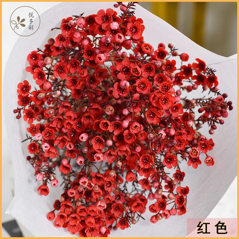 手机上怎么查生活鲜花京东历史价格|生活鲜花价格历史
