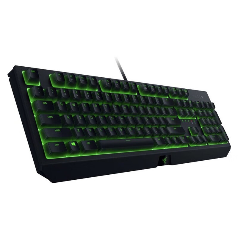 雷蛇（Razer） 黑寡妇蜘蛛标准 机械键盘 游戏键盘 办公键盘 电脑键盘 绿轴ABS键帽104键 标准版-104键绿轴绿光