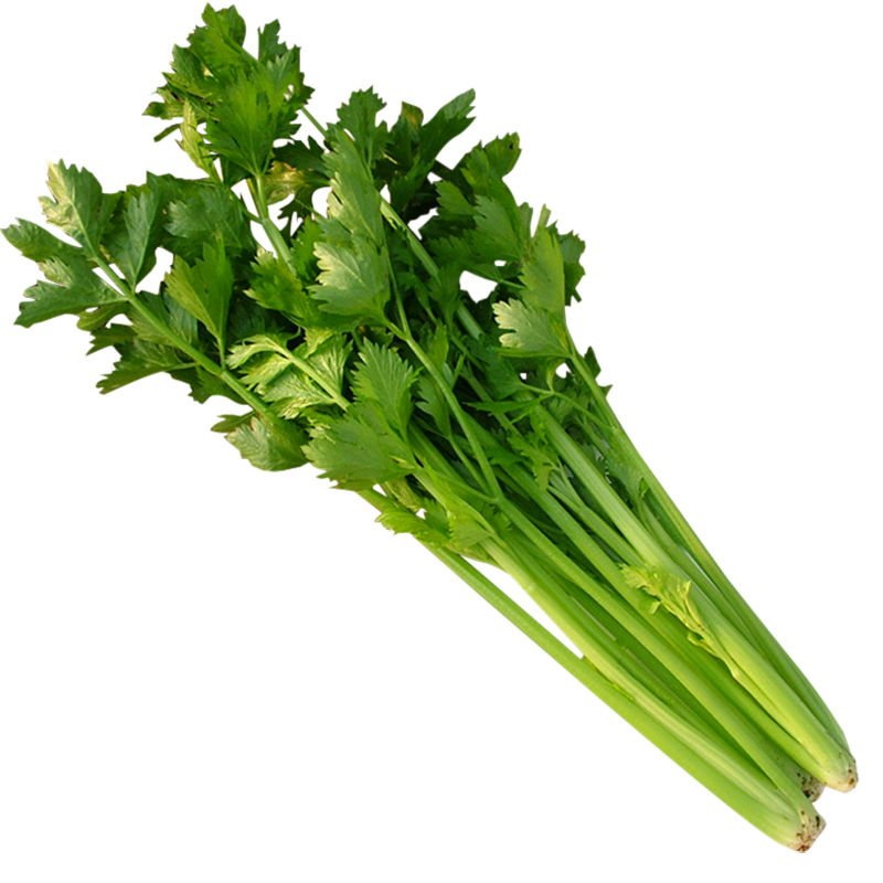 现拔新鲜蔬菜西芹当季时令小芹菜香芹5斤3斤1斤青菜特产 1斤装