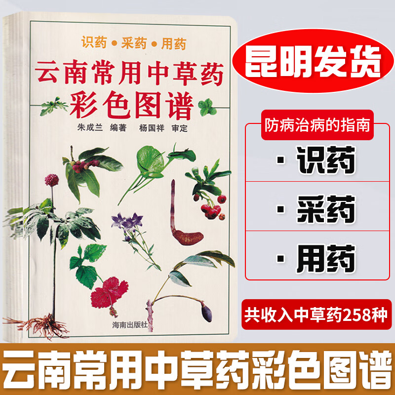 云南常用中草药彩色图谱 常用中药彩色高清大图解258种云南中药使用图