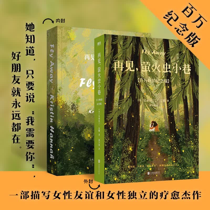 【新华书店正版现货】再见萤火虫小巷(百万畅销纪念版)克莉丝汀·汉娜代表作 一本你应该送给自己并与所有友人分享的好书 毛晓彤李柘远枕边书