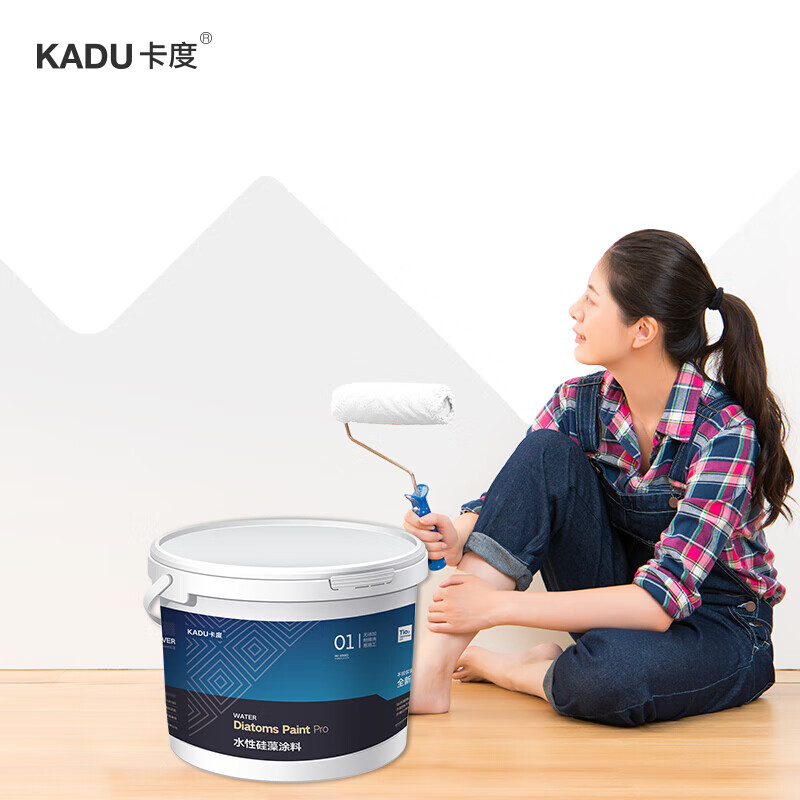 卡度 内墙乳胶漆二代环保油漆内墙漆自刷家用涂料室内彩色墙面漆白漆 2KG 白色