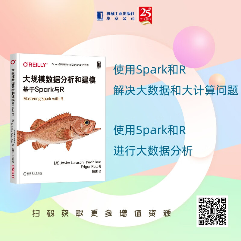 大规模数据分析和建模：基于Spark与R详情图