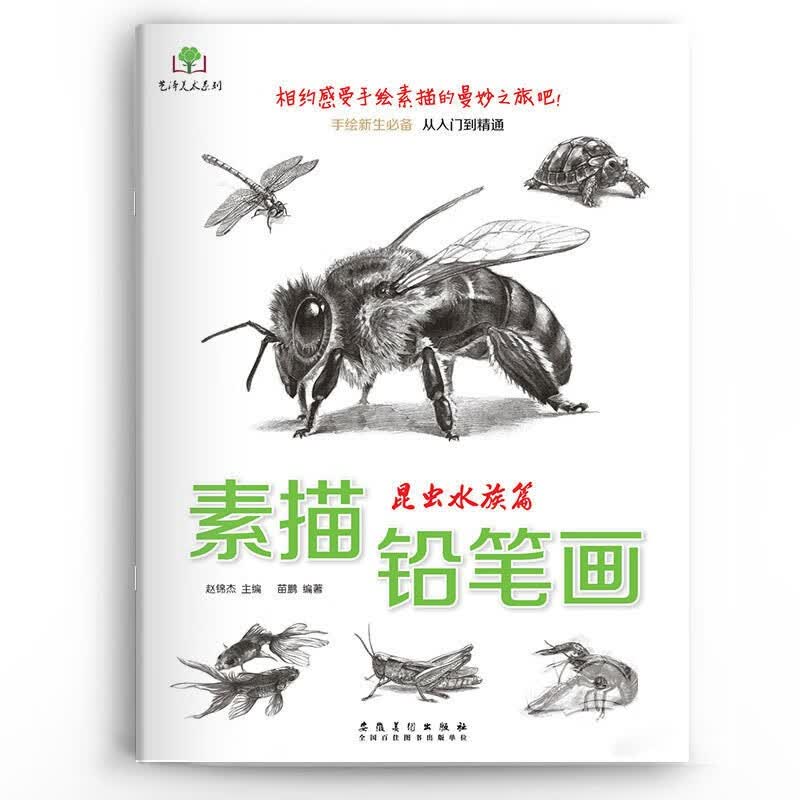 素描铅笔画 铅笔从入门到精通 素描美术书 单册素描静物 教程绘制详解 基础入门篇临摹 素描铅笔画-昆虫族篇