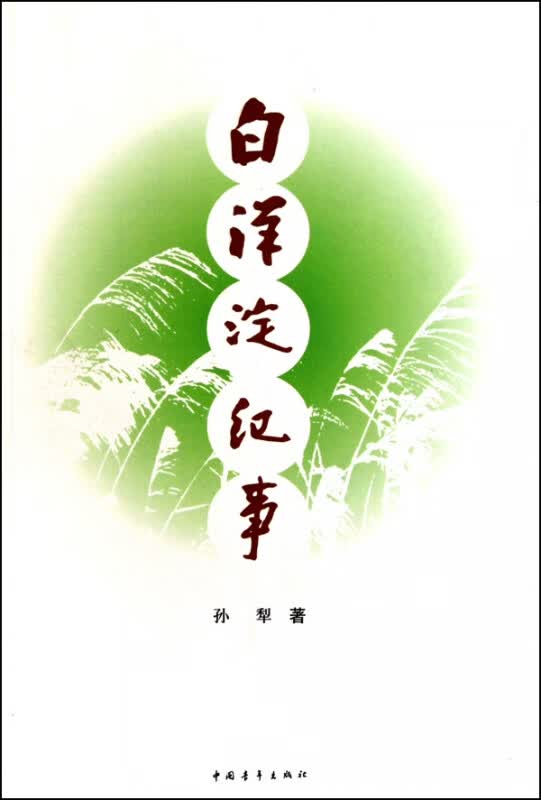 白洋淀纪事