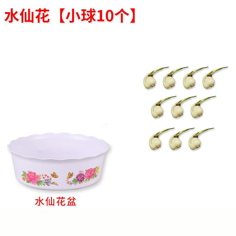 限定数のみ 輪島塗 角皿 角盆 水仙 未使用 - www.geovirtual2.cl