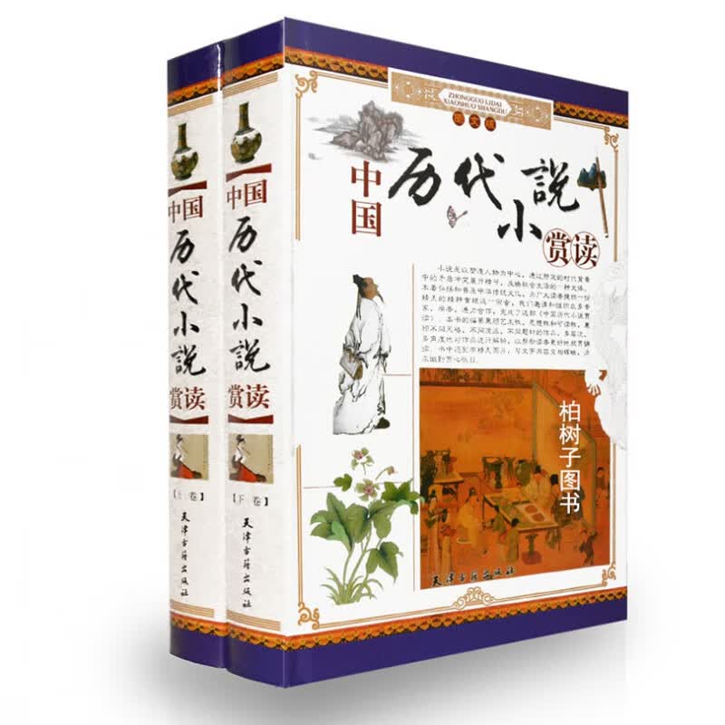 精装 图文版 中国历代小说赏读 上下 古典文学赏析 阅读 青少年课外读物