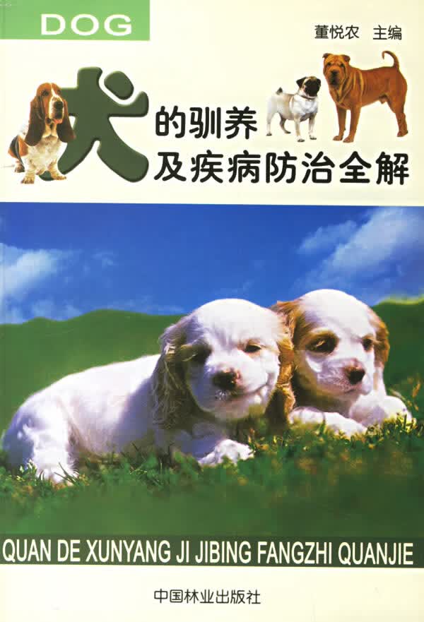 犬的驯养及疾病防治全解【正版图书】