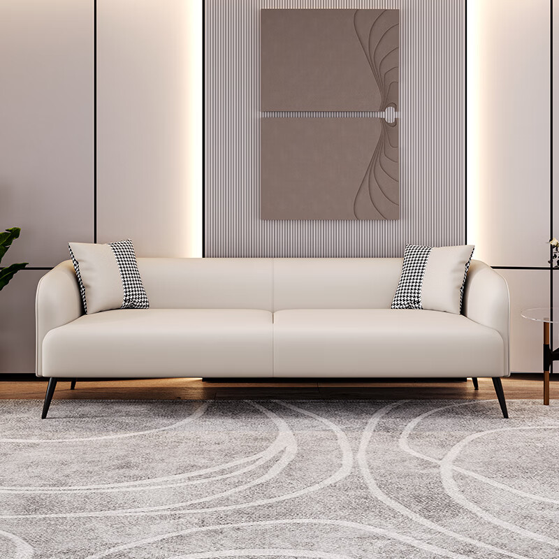 小沙发客厅小户型简易网红款简约三人公寓房间经济双人沙发出租房