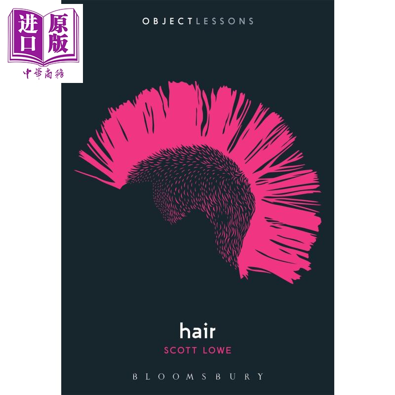实例研究:头发 英文原版 object lessons: hair scott lowe