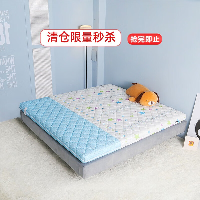 大自然床垫 植物环保山棕床垫非椰棕无弹簧棕榈床垫子【花季风】 花