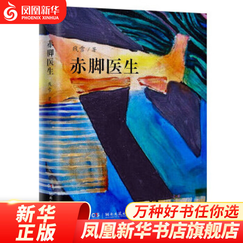 赤脚医生 残雪作品 中国现当代文学长篇小