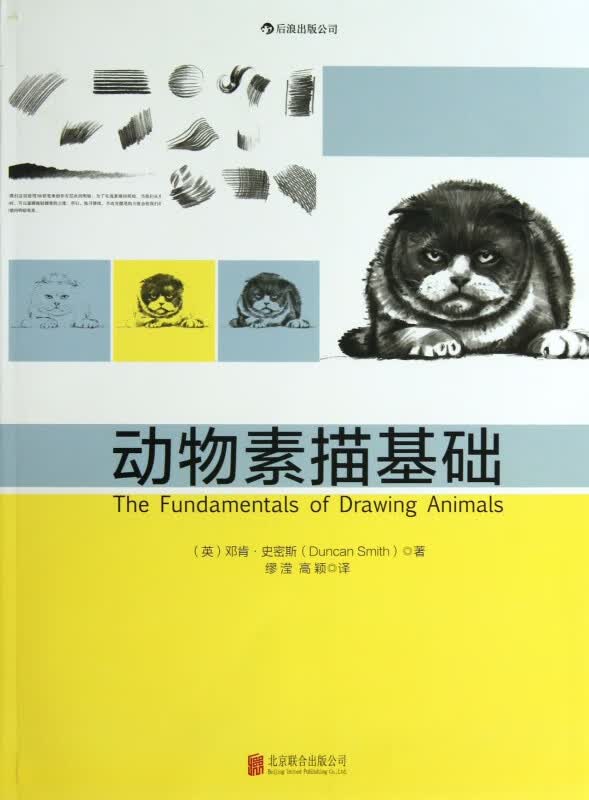 动物素描基础