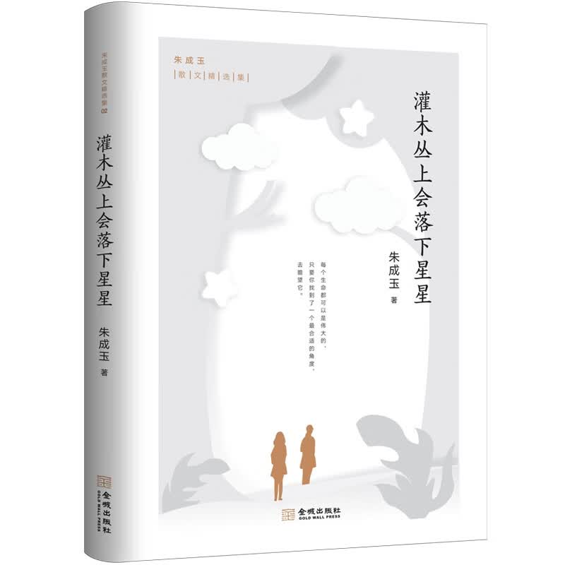 正版书朱成玉散文精选集02：灌木丛上会落下星星散文随笔类图书灌木丛上会落下星星