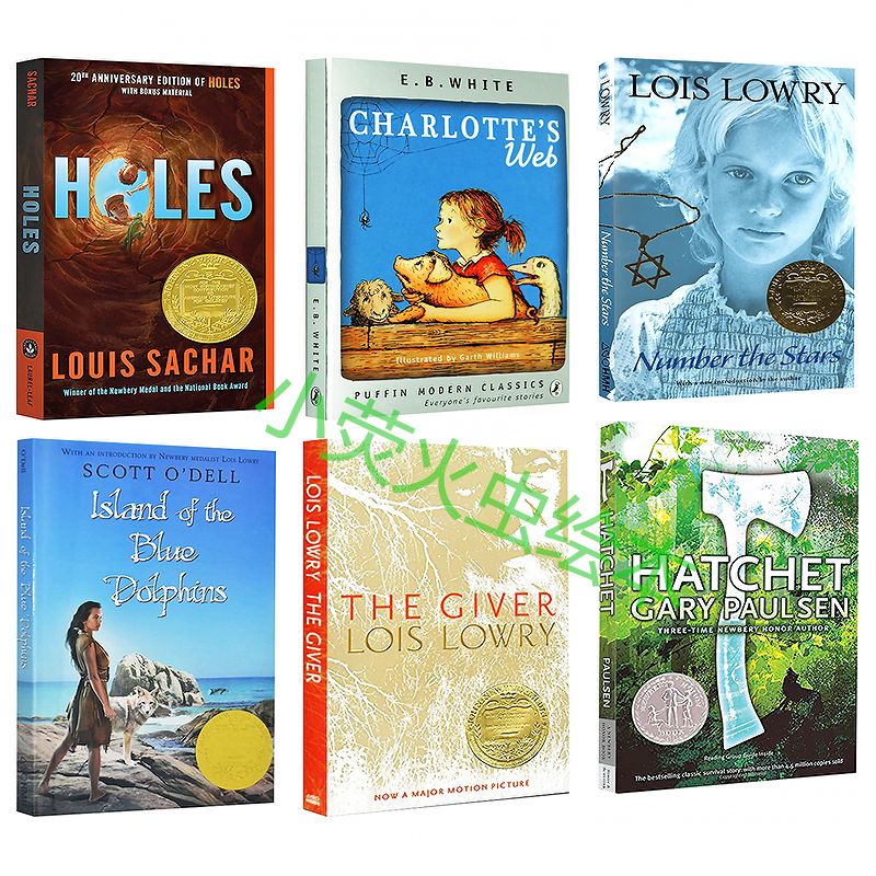 纽伯瑞金奖英文原版6册 Louis Sa