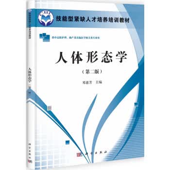 人体形态学邓惠芳