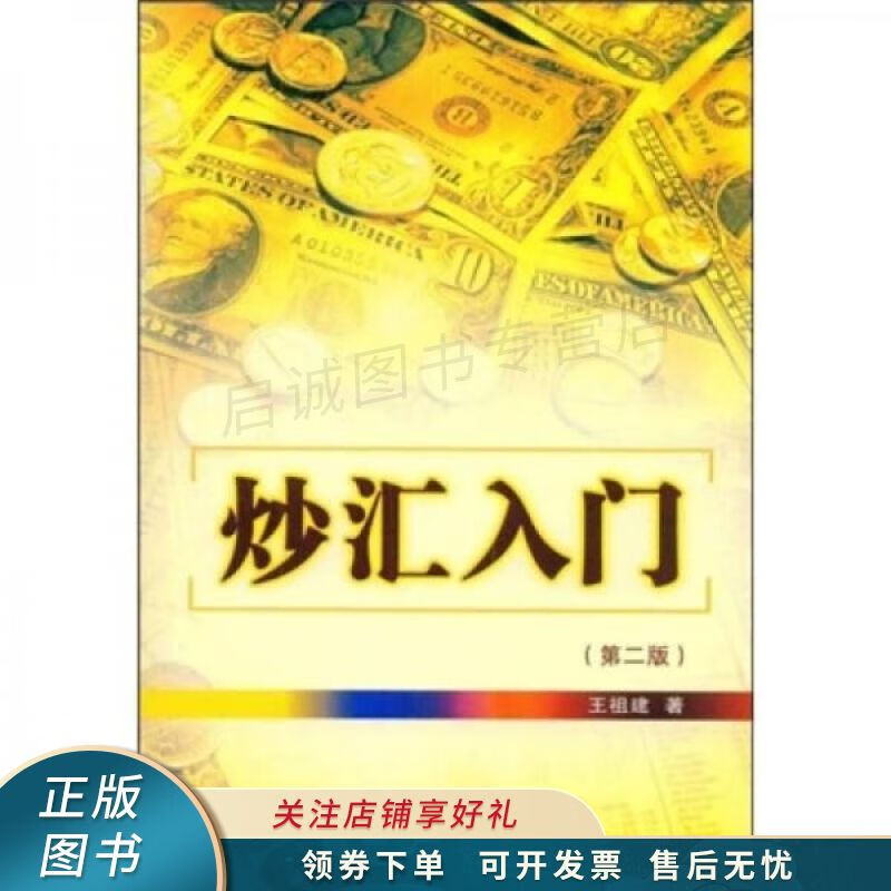炒汇入门第2版