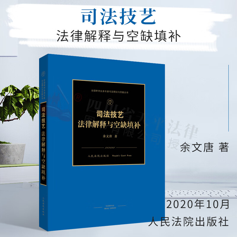 司法技艺:法律解释与空缺填补