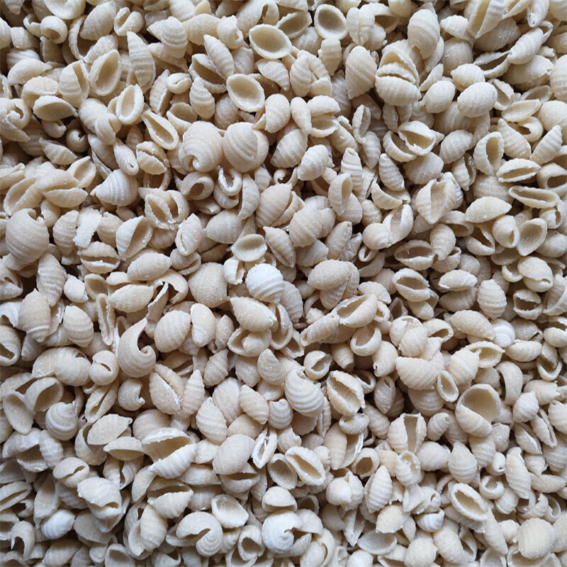 虎钢馋麻食陕西整箱30斤餐饮装烩麻食麻什子面食海螺贝壳猫耳面疙瘩