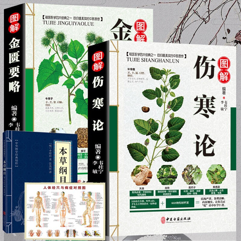 全套2册 伤寒论张仲景正版 金匮要略 原著 中医入门零基础理论学 中医四大经典名著 医学类全书书伤寒
