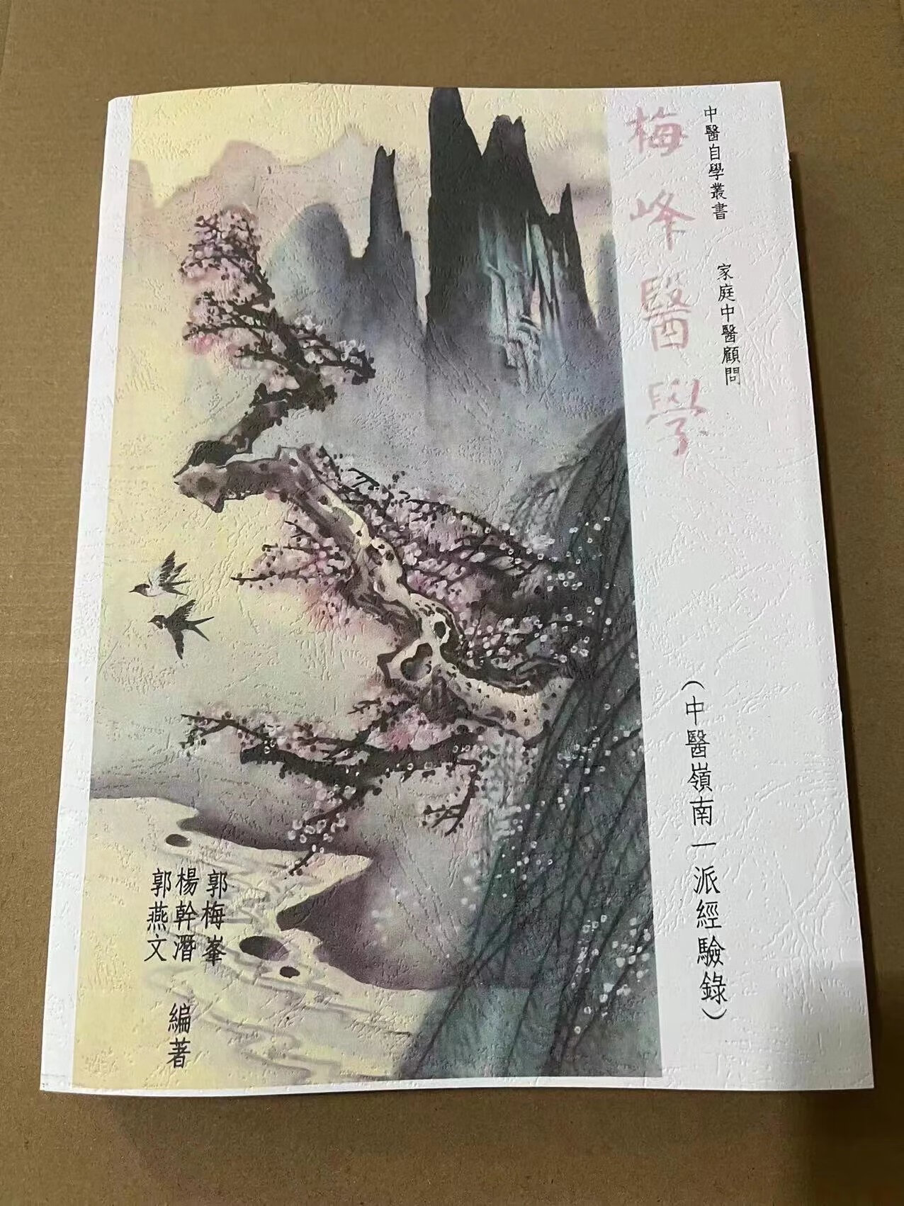 梅峰医学中医岭南一派经验录郭梅峰繁体中文现货