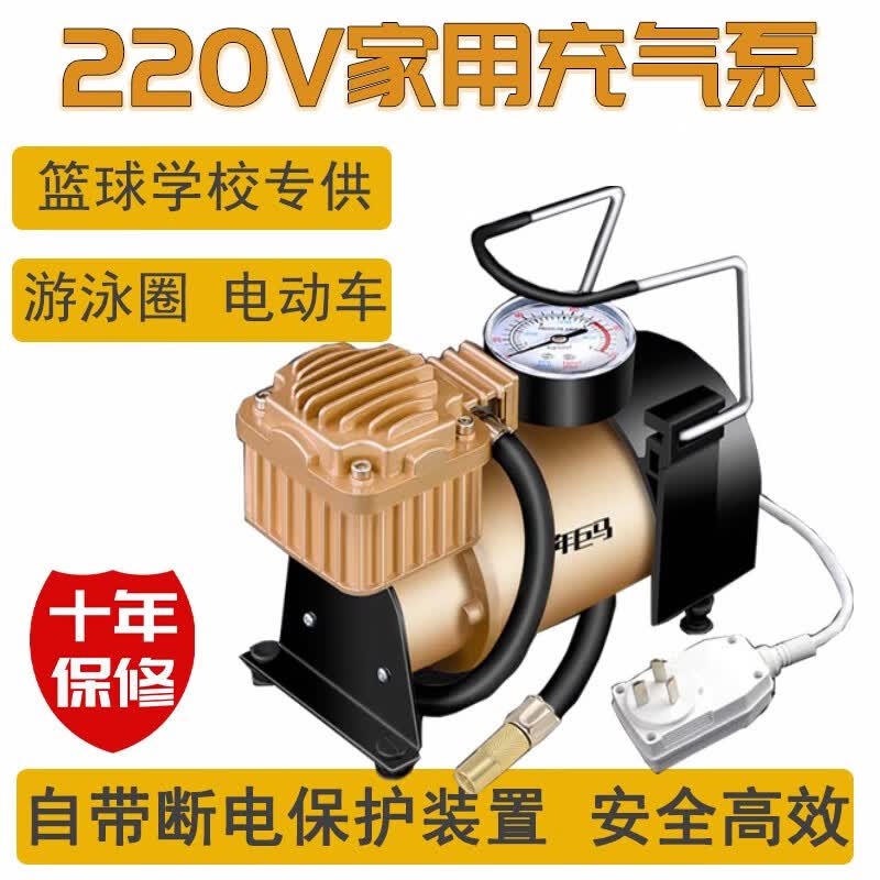 惠柒梦huiqimeng220v家用充气泵 汽车车载交流电双缸打气泵大功率便携