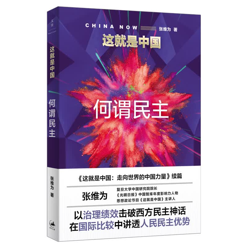 这就是中国：何谓民主