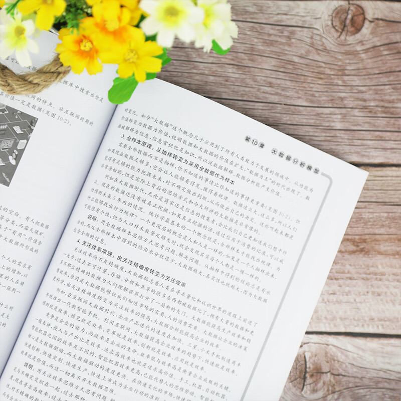 大数据分析详情图