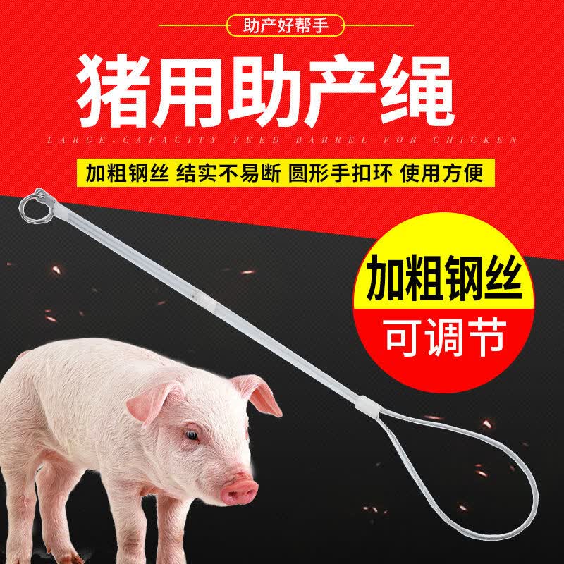 喜普母猪用助产器 母猪兽用助产绳牛用助产绳辅助不锈钢猪用的住产绳