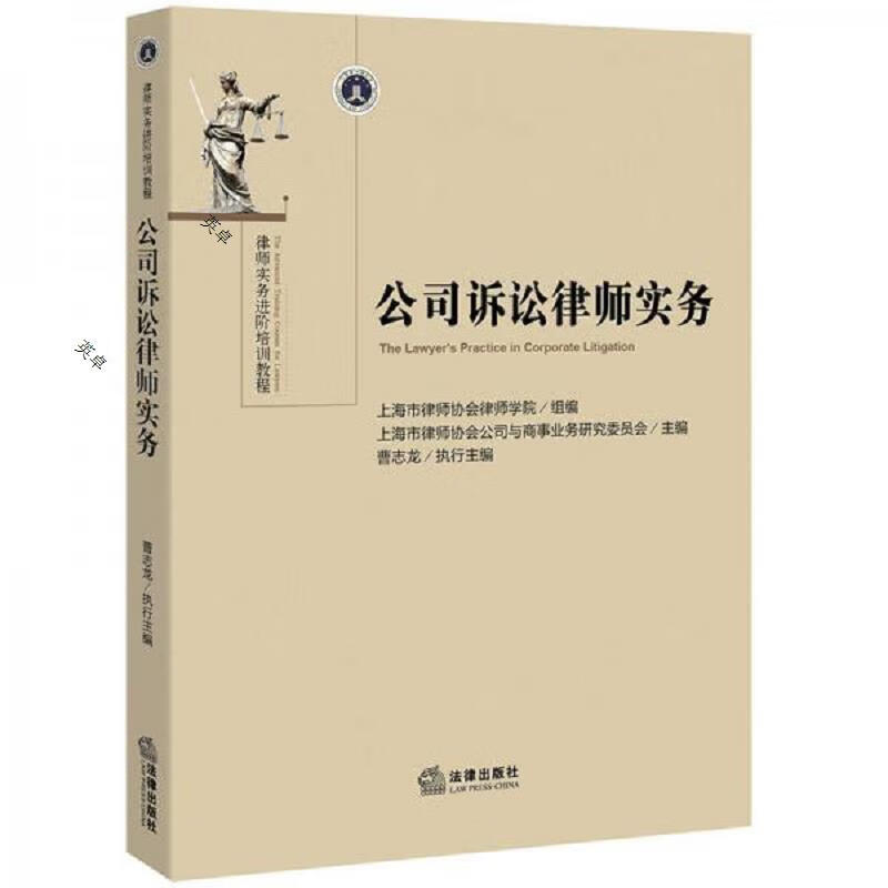 公司诉讼律师实务