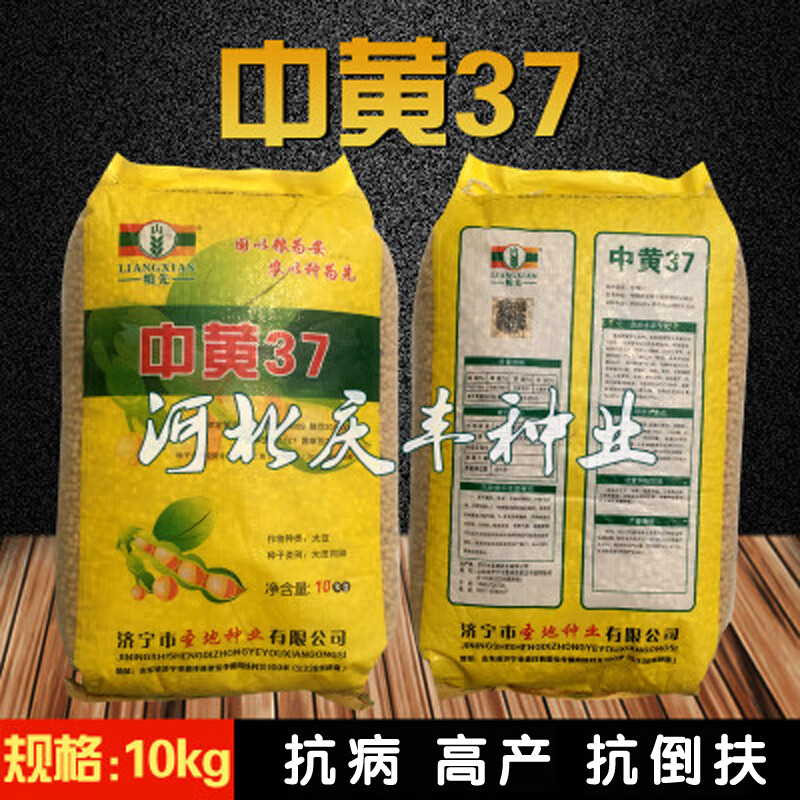 农户大面积种植大豆种子  中黄37 稳产大豆种子 亩产千斤 中黄37 一斤
