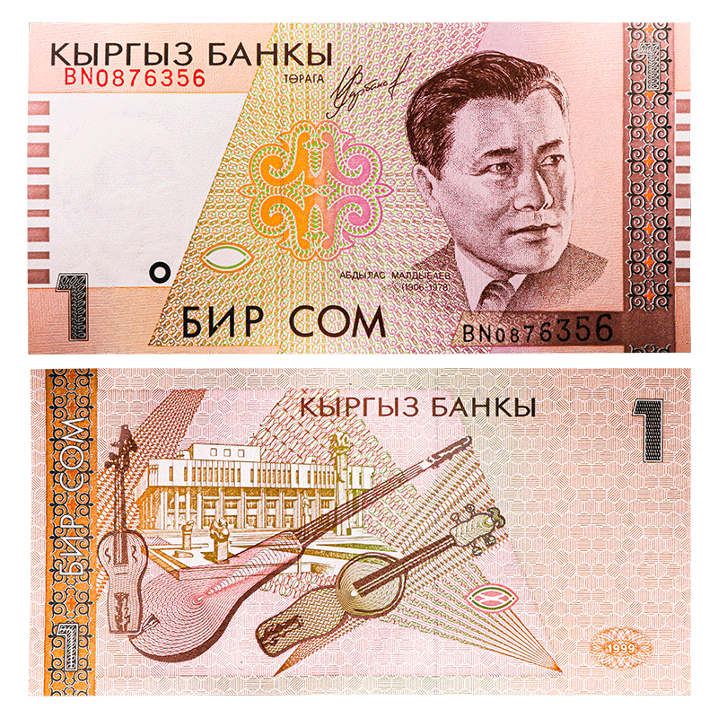 广博藏品 外国钱币全新unc-亚洲 吉尔吉斯斯坦1索姆纸币 钱币收藏