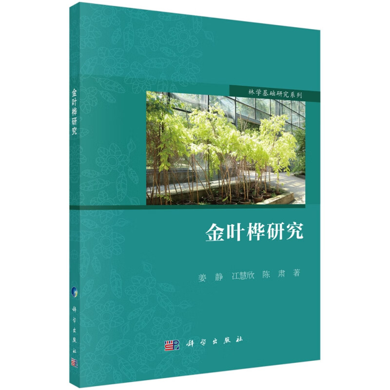 金叶桦研究