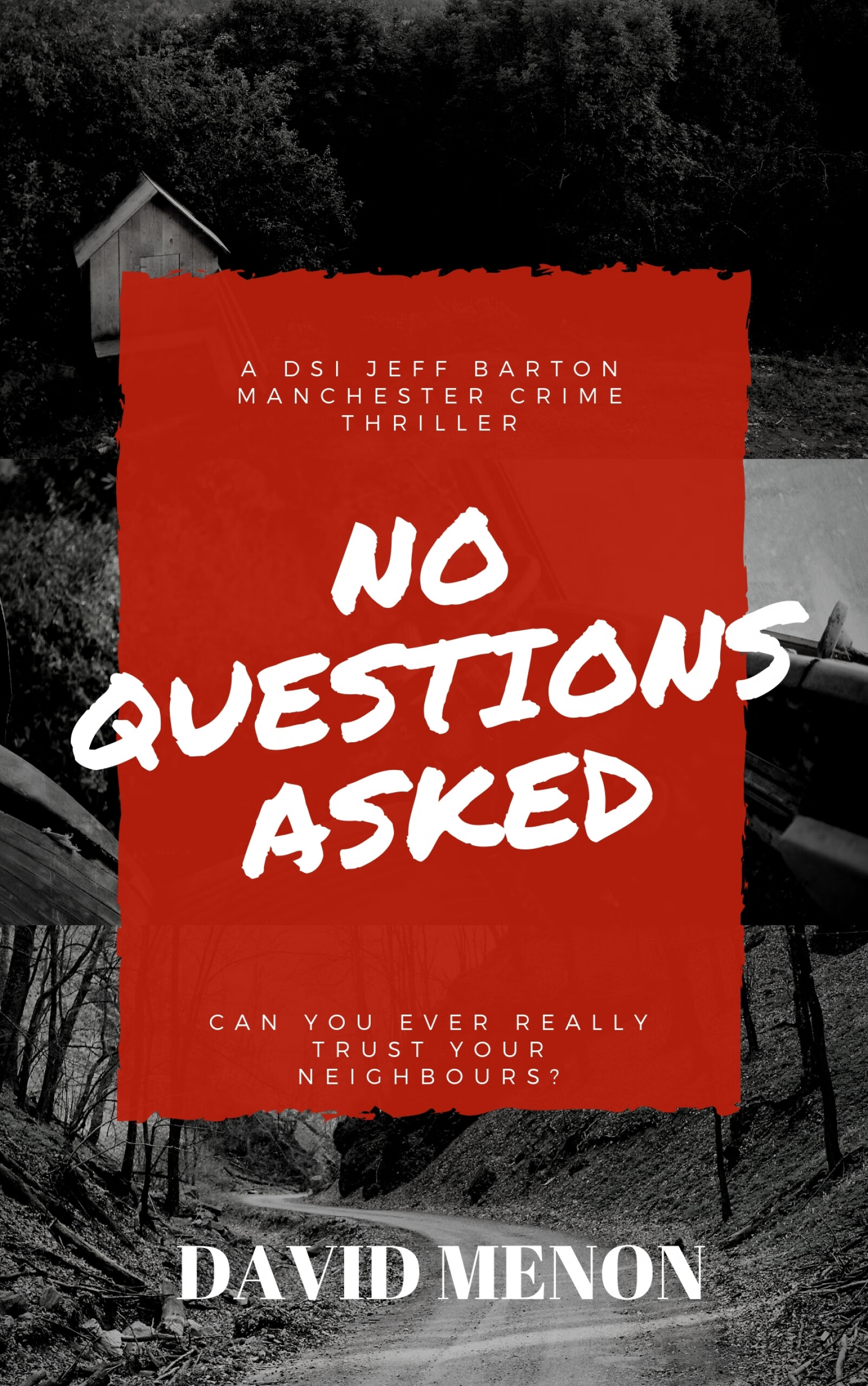 no questions asked: a manchester crime thriller featuring dsi