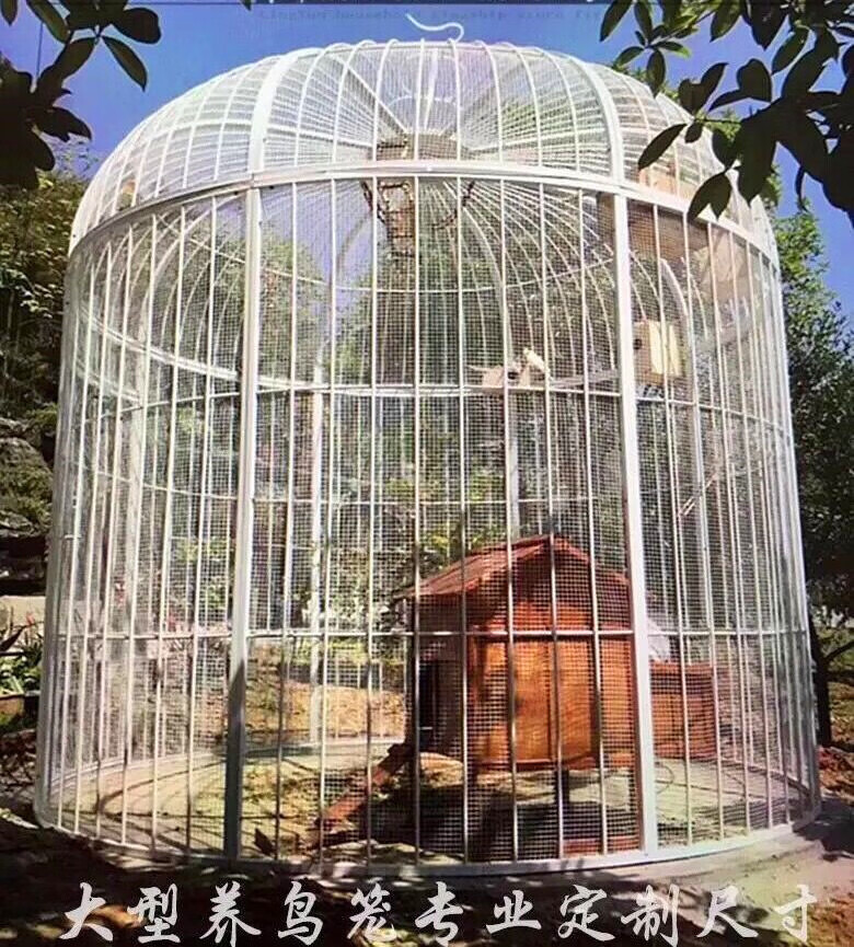 笼趣铁艺特大号加网鸟笼鹦鹉鸟笼户外大型超大巨型鸟笼装饰孔雀养鸟笼