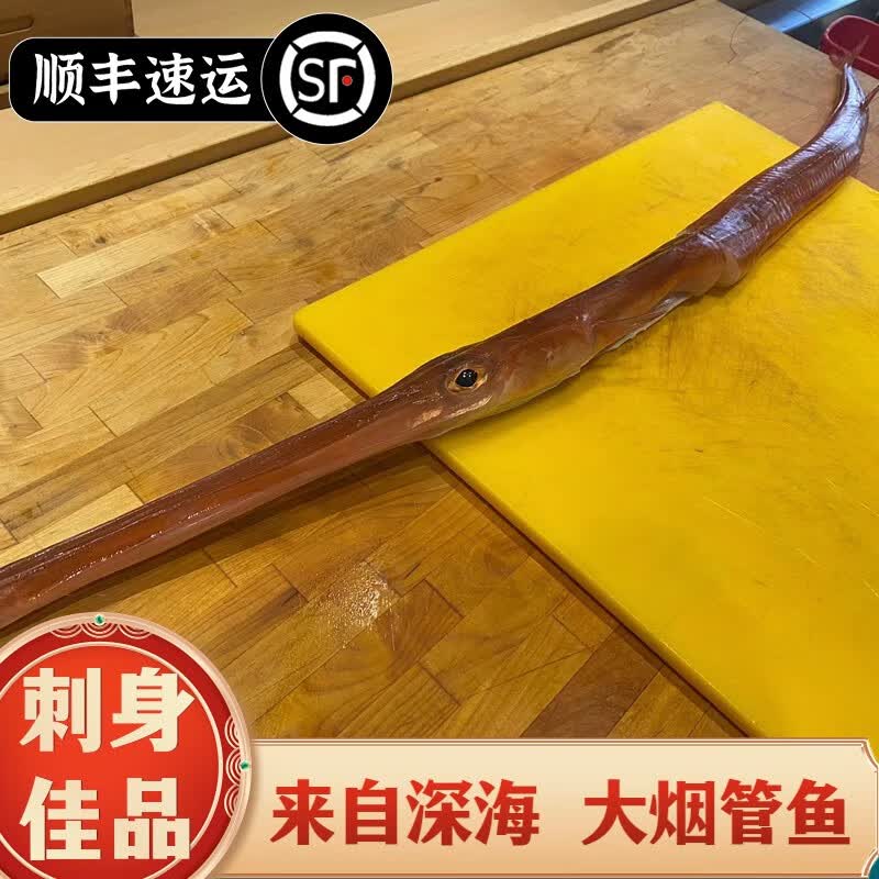 榕毅鲜生烟管鱼刺身马鞭鱼生片鲜活海鲜水产烟袋管鱼鸭嘴鱼海鲷鱼顺丰