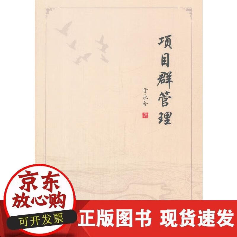 【正版现货】项目群管理
