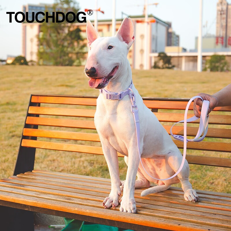 Touchdog它它狗狗牵引绳狗胸背心式遛狗绳宠物外出狗链小中大型犬 TDLC00088A绿色 S-15MM