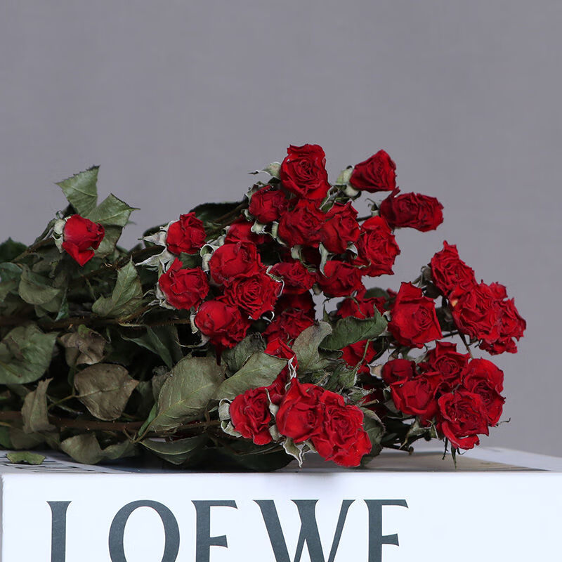 干花商品历史价格查询入口|干花价格比较