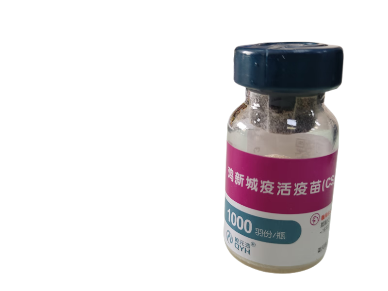 勋狸粑兽用鸡新城疫活疫苗(cs2株)1000羽份/瓶 一瓶