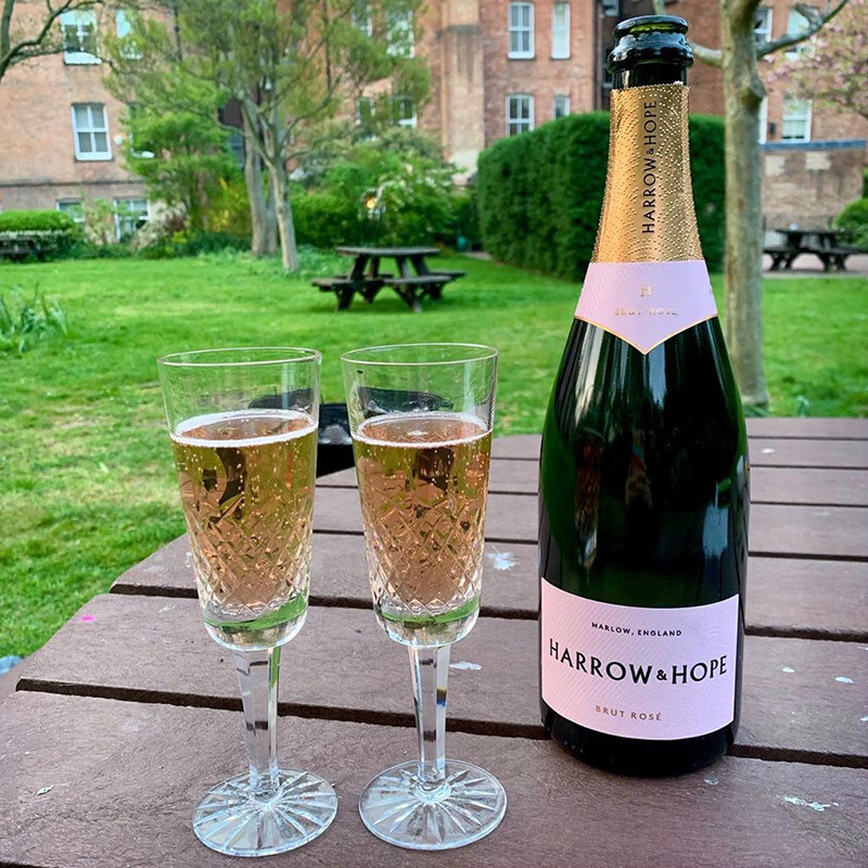 樂事會英国进口雅珑庄园2号桃红起泡葡萄酒 750ml 单支