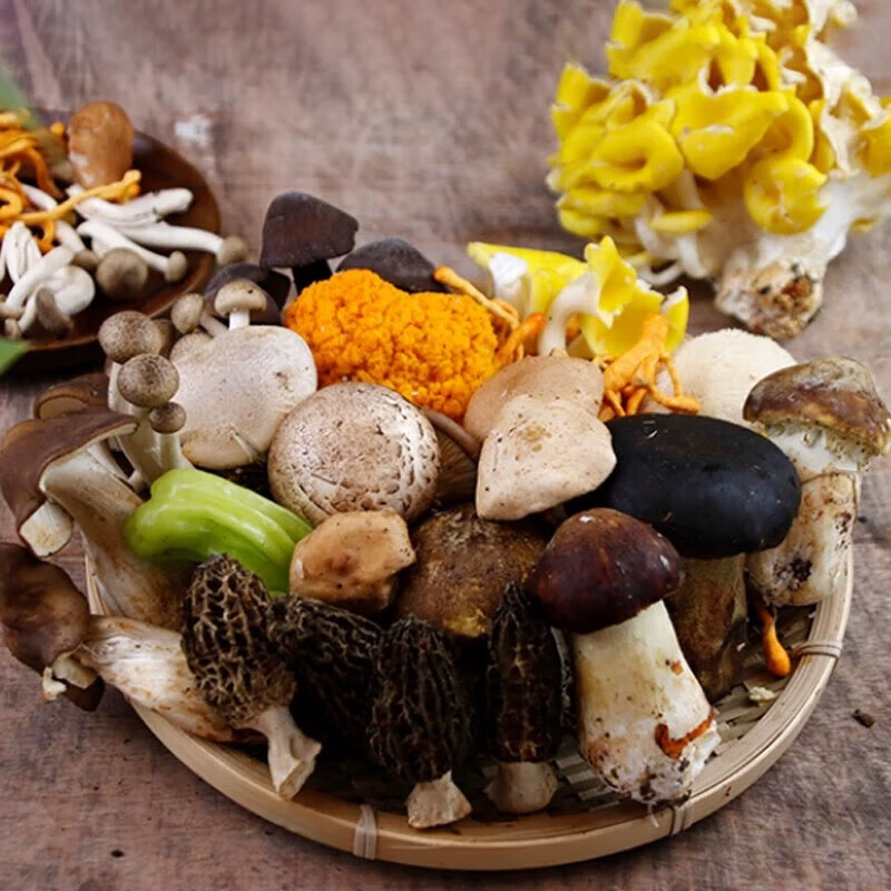 云南新鲜野生菌组合羊肚菌鲜牛肝菌蘑菇时令杂菌煲汤食用鸡枞2斤 云南