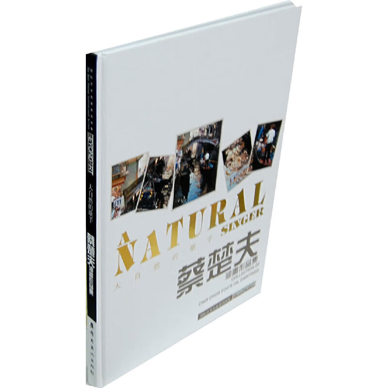 蔡楚夫油画作品集