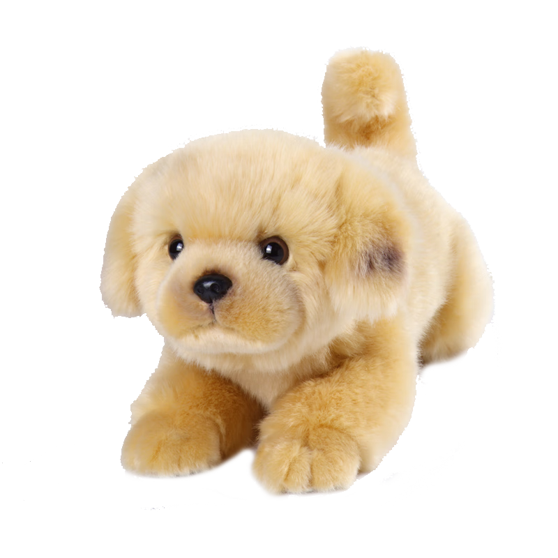 ���ڲ����������� ��ë��ë����߹�����ż���ްڼ��������˽�������Ů���ѹ��������ͯ���Ů������������