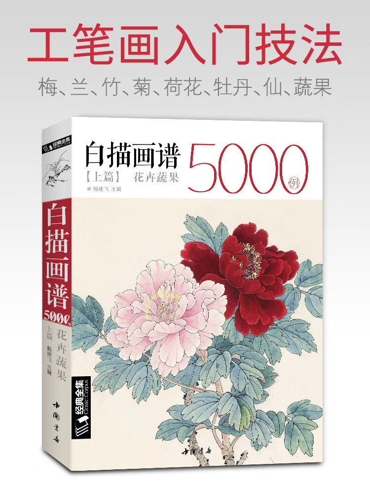 白描画谱5000例·上篇·花卉蔬果 中国工笔技法花鸟画册集书籍入门初