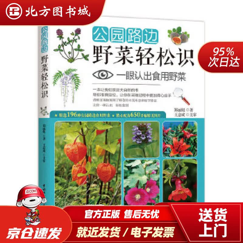 【正版现货】公园路边野菜轻松识：一眼认出食用野菜郑丽妞著王意成主审 北方图书城
