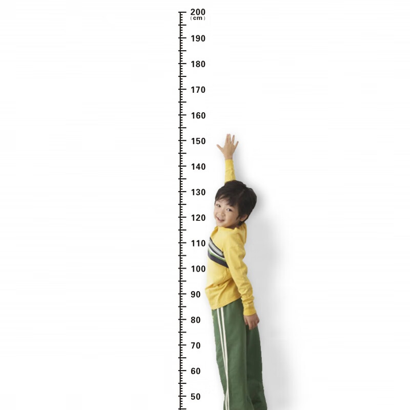 漯岚儿童成人家用学校医院体检舞蹈教室量身高贴2米尺子测量仪墙贴 黑色 超大