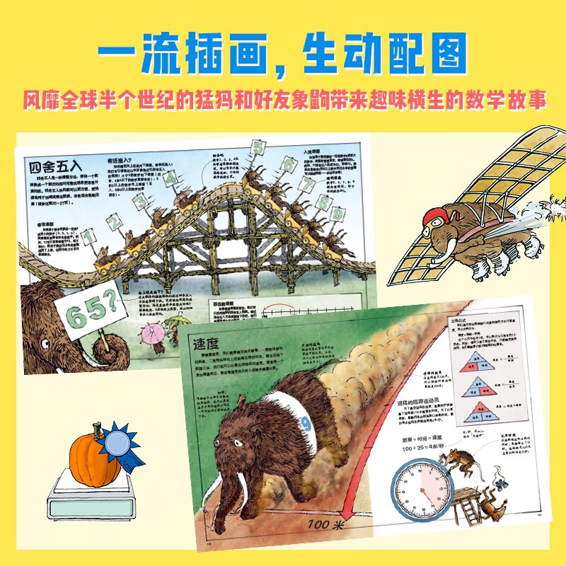 DK数学运转的秘密详情图