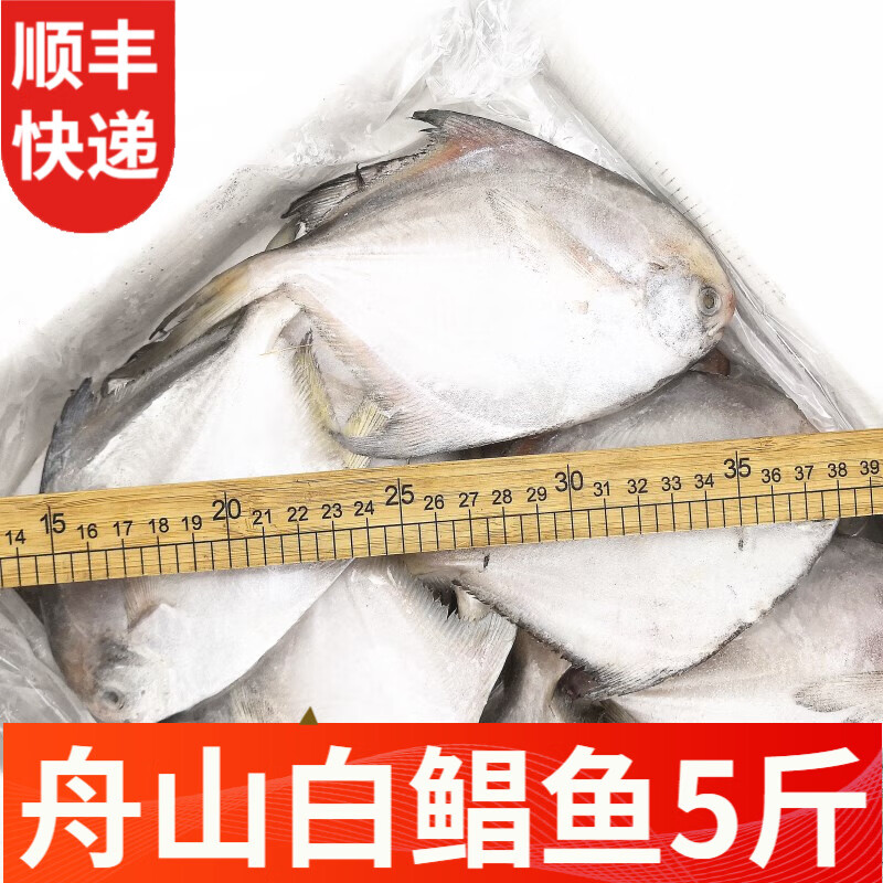 一米渔 整箱鲳鱼2500g 25条左右 新鲜冷冻鲳鱼白鲳鱼海鱼深海鱼冰冻海鲜水产